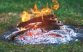 Flame of a fire burning in the dark night and the burning coals that give warmth to the hearth in the wild. Royalty Free Stock Photo