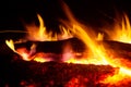 Flame of a fire burning in the dark night and the burning coals that give warmth to the hearth in the wild.
