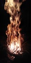 A flame of fire in cold winter night Royalty Free Stock Photo