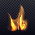 Flame fire icon or clipart vector realistic effect