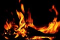 Flame of fire Royalty Free Stock Photo