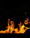 A flame of fire, an orange flash of a fiery flower. Flames on a black Royalty Free Stock Photo