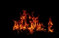 Flame fires. Burn lights on a black background. Fire flames on black background. Abstract fire flame background. Royalty Free Stock Photo