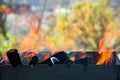 Flame. Firewood burns in the grill Royalty Free Stock Photo