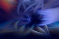 Flame fractal dark background blue. wallpaper Royalty Free Stock Photo