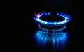 Flame of a gas burner on a black background. Combustion of Natural gas on a black background. Gas stove. Gas stove burner on fire