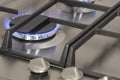 Flame gas burner on the gas hob Royalty Free Stock Photo