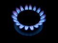 Flame of gas kitchen plate Royalty Free Stock Photo