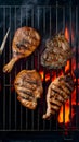 Flame grilled beef and chicken steaks on the barbecue