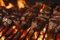 Flame-grilled beef kebabs roasting over fire flames. Copy space Royalty Free Stock Photo