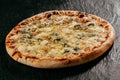 Flame grilled Italian Four Cheese Pizza Royalty Free Stock Photo