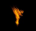 Flame, heat or light on black background with color texture and pattern of burning energy. Fire line, fuel or flare