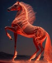 Flame horse with black and galaxsy background Royalty Free Stock Photo