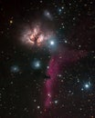 Flame and Horsehead nebulae Royalty Free Stock Photo