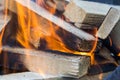 Flame incinerates firewood and transforms it ashes, close up, shallow depth of field. Blaze in a large stove. Nature