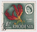 Flame Lily flowers on a 1966 Rhodesia postage stamp. October 2025 Royalty Free Stock Photo