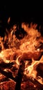 Flame orange fire burn logs