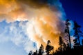 Yellowstone Wildfire