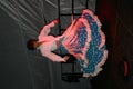 Flamenco 2 Royalty Free Stock Photo