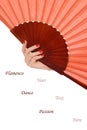 Flamenco accessories Royalty Free Stock Photo