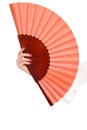 Flamenco accessories Royalty Free Stock Photo