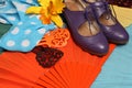 Flamenco accessories Royalty Free Stock Photo