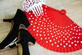 Flamenco accessories Royalty Free Stock Photo