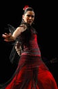 Flamenco