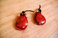 Flamenco castanets. Closed castanet, music instrument. Royalty Free Stock Photo