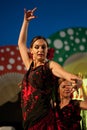 Flamenco Dance Royalty Free Stock Photo