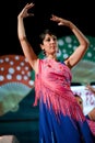 Flamenco Dance Royalty Free Stock Photo
