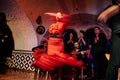 Flamenco dance fast movement blury image. Cultural dance of Andalusia in Spain