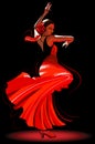 Flamenco dancer Royalty Free Stock Photo