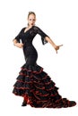 Flamenco dancer in action Royalty Free Stock Photo