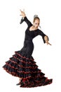 Flamenco dancer in action Royalty Free Stock Photo