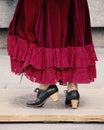 Flamenco dancer in Andalusia, Spain