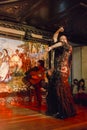 Flamenco dancer performance Royalty Free Stock Photo