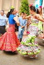 Flamenco dancers in beautiful dress Royalty Free Stock Photo