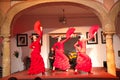 Flamenco dancers Royalty Free Stock Photo