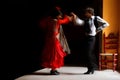 Flamenco dancers Royalty Free Stock Photo