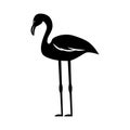 Flamenco exotic bird icon