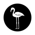 Flamenco exotic bird icon