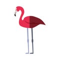 Flamenco exotic bird icon