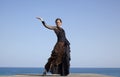 Flamenco by oceaside Royalty Free Stock Photo