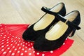 Flamenco shoes on fan Royalty Free Stock Photo