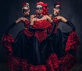 Flamenco spanish seductive dancers wearing traditional costume.