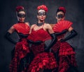 Flamenco spanish seductive dancers wearing traditional costume.