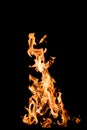 Flames on black Royalty Free Stock Photo