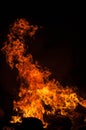 Flames from a bonfire Royalty Free Stock Photo