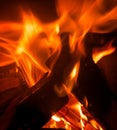 Flames burn in a fire Royalty Free Stock Photo